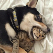 你们瞄准怎么这么干净