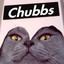 Chubbs the cat has chunks