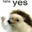 haha yes