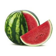 WatermelonBoiTad's Avatar