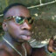 Levizinho