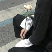 王操操