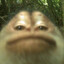 Chris