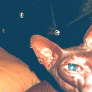 Jennifer - steam id 76561199722889674