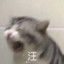 懿辛xjh