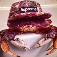 過去に住むの人