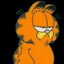 garfield (real)