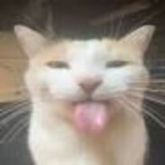 cutie ;3