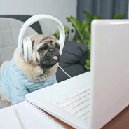 enjoer - steam id 76561198174277055