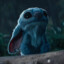 sonyaXzol