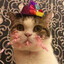 Meow-meow Dragon-cat
