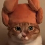 心碎碎暴龙战士