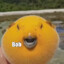 Bob