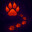 pico paw pace