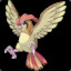 Pidgeotto