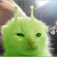 Glorp