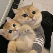 日暮归途Sun#3312