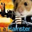 I&#039;m Hamster