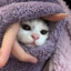 HappyKitty