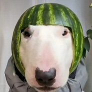 НАТАША АМФИБИЯ