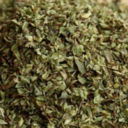 Oregano