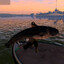 Zax_Gaming