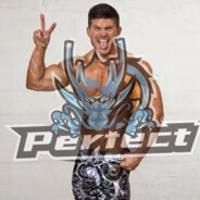 Perfect-但丁的爹