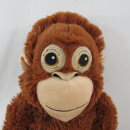 mono monete