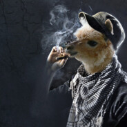 XI - steam id 76561198799160541