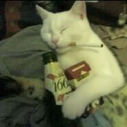 evil angry satan cat