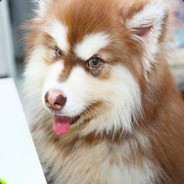 伯乐见我都大喊好马