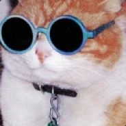 蓝胖舌吻双头龙