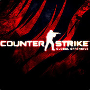 Борцуха_228csgofast.com