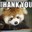 Red Panda