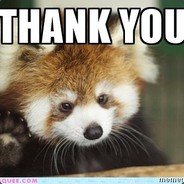 Red Panda