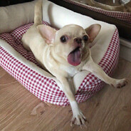 эротомания