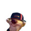Gr0nK