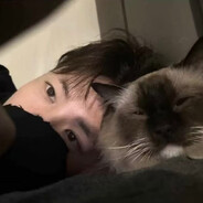 去码头搞点薯条