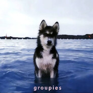 装GAY和女朋友4i