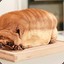 Loaf Dog