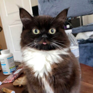 хз че писать