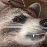 evilempire