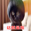 不要停止相信