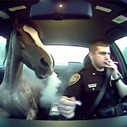 vsd - steam id 76561198781591633