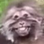 benfiko