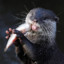 otter3184