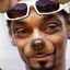 Pupper Snoop