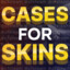 CASES FOR SKINS