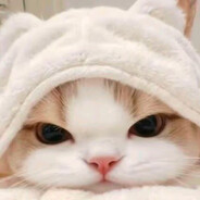 愿做你的指南针