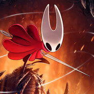hollow knight